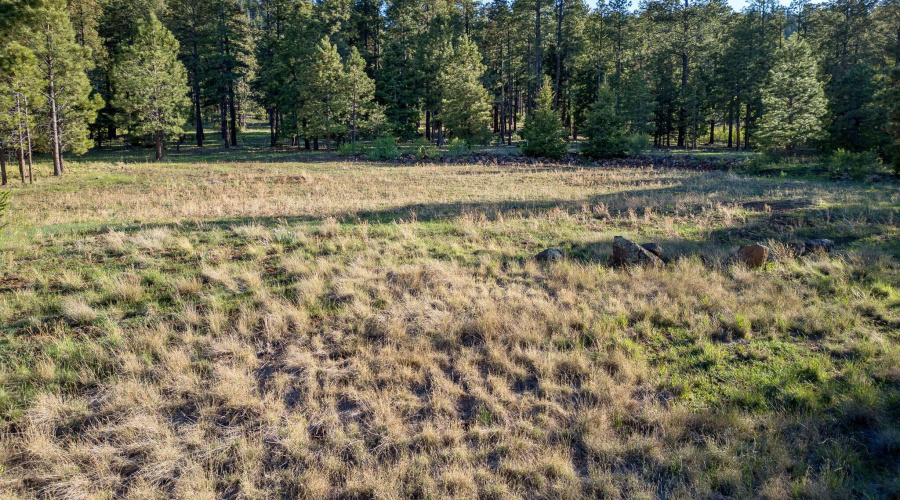 Lot14-HMR-Greer-AZ-16