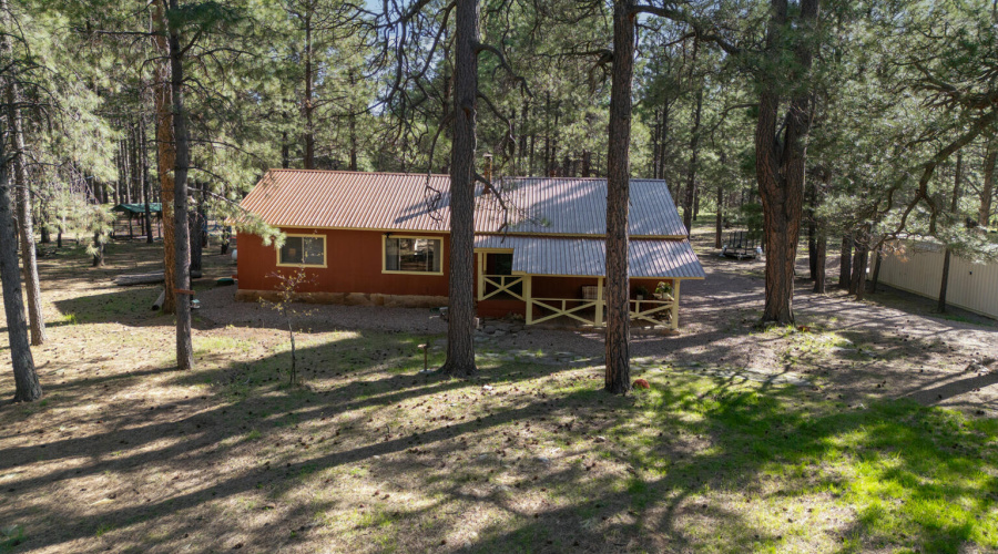 668 Mule Springs Forest Lakes - 101