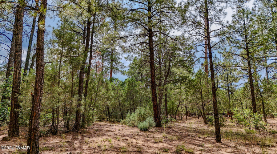 5039 Winter Hawk Court-Lot #69-9