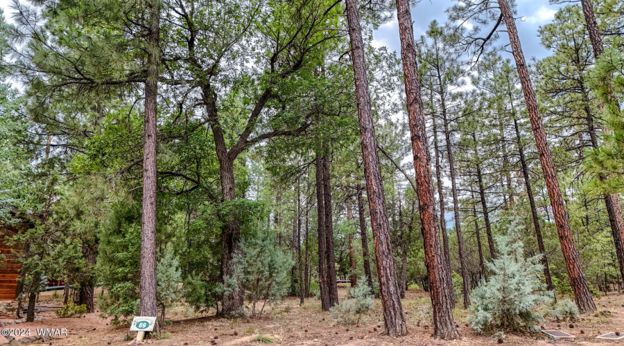 5039 Winter Hawk Court-Lot #69-1