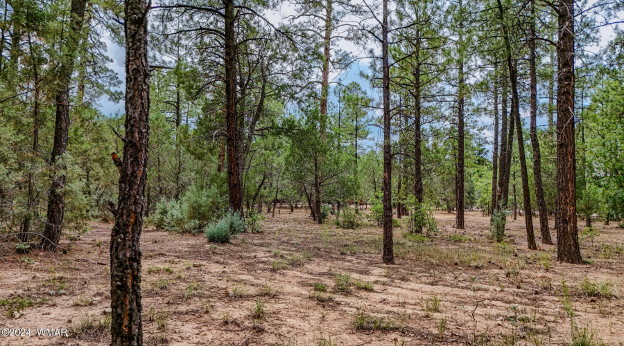 5039 Winter Hawk Court-Lot #69-7