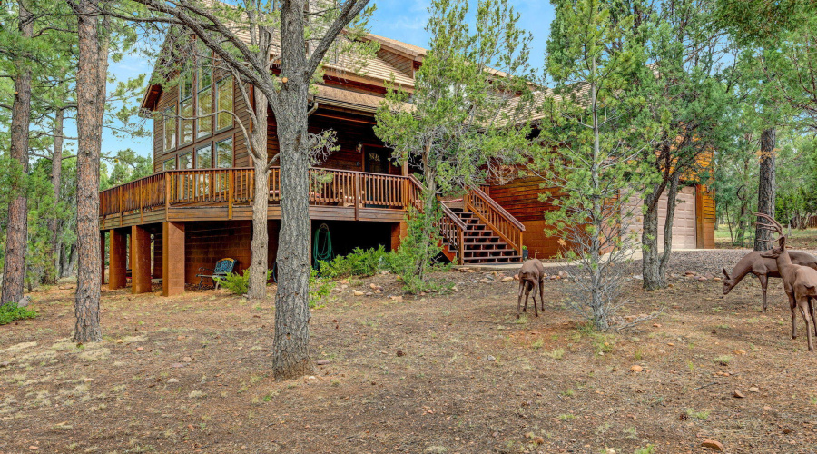 2774AirParkDr-Overgaard-AZ-1