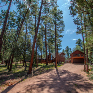 Love that driveway!