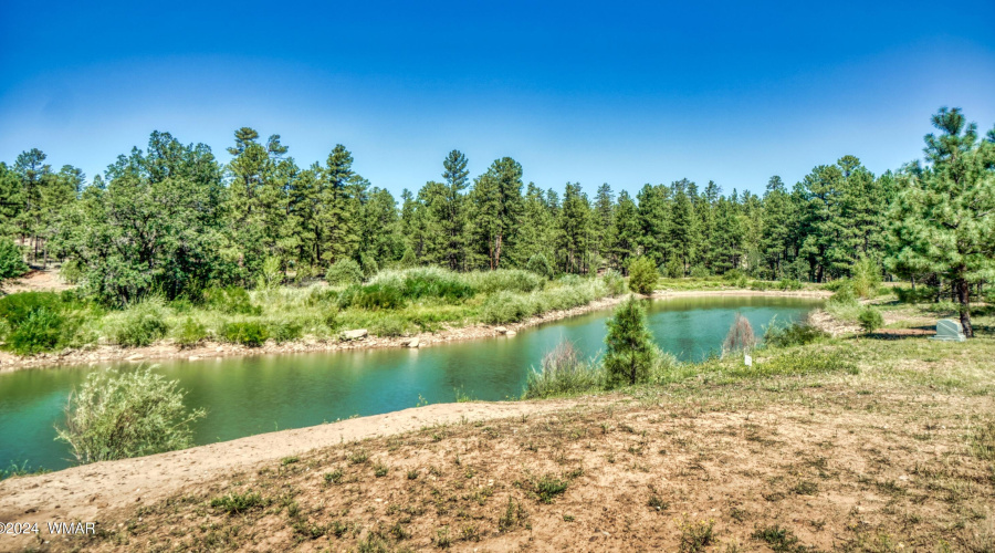 Torreon Lakes