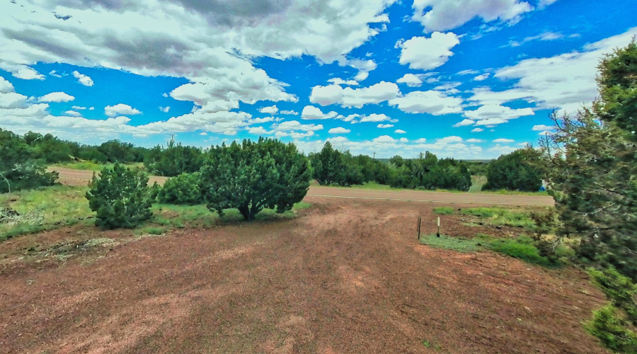 Front Driveway