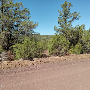 Vacant land for sale in Vernon AZ