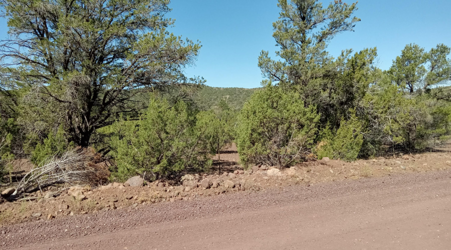 Vacant land for sale in Vernon AZ