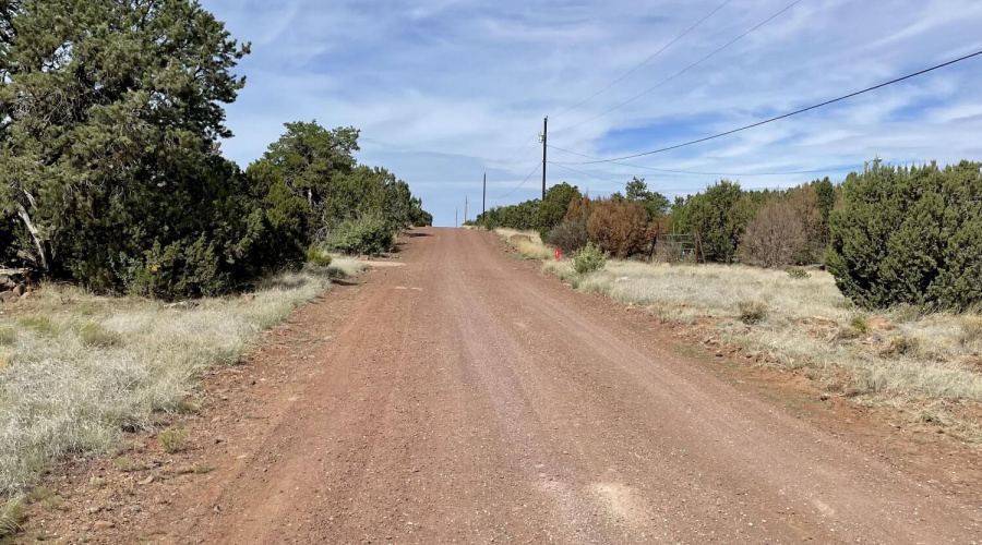 Road leading to property