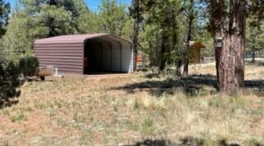 carport and garden shed