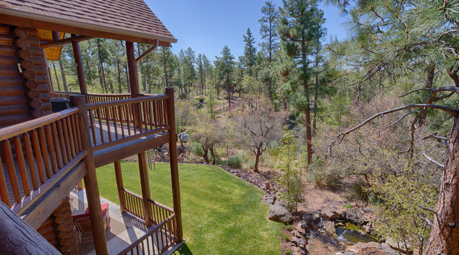 Back yard and view