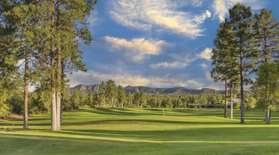 Driving range