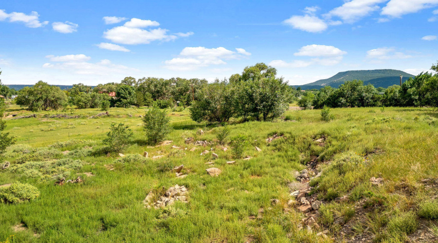 Parcel10520001K-Springerville-AZ-14