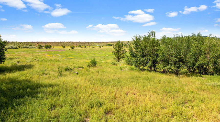 Parcel10520001K-Springerville-AZ-15