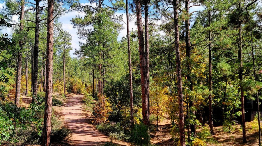 Home backs to the tranquil walking path