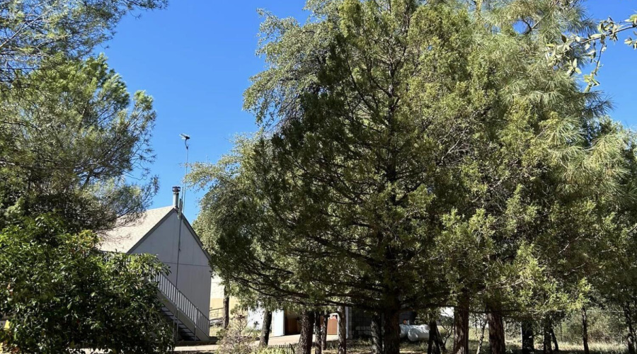 looking towards house from east side dow