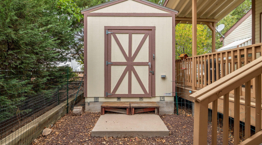 SHED IN BACK YARD