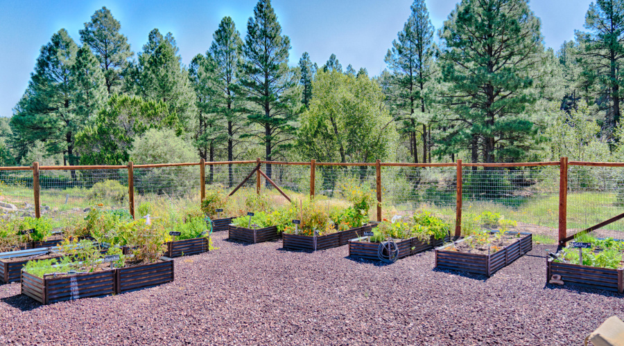 Bison Ridge Community Garden