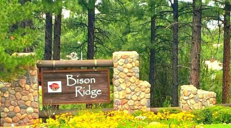 Bison Ridge