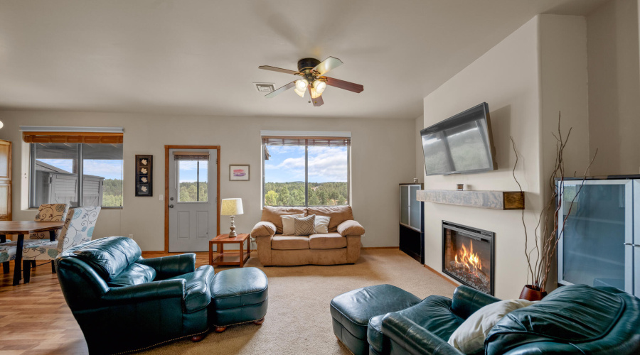 Newly Remodeled Living Room & Fireplace