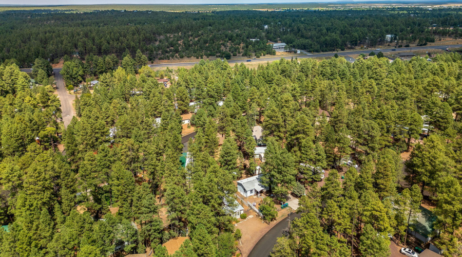 Aerial View of the Community