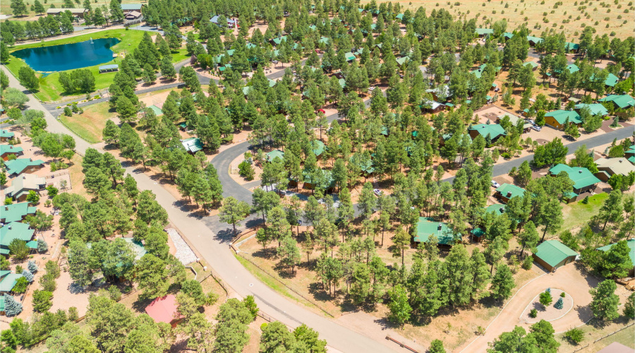 COMMUNITY AERIAL VIEW