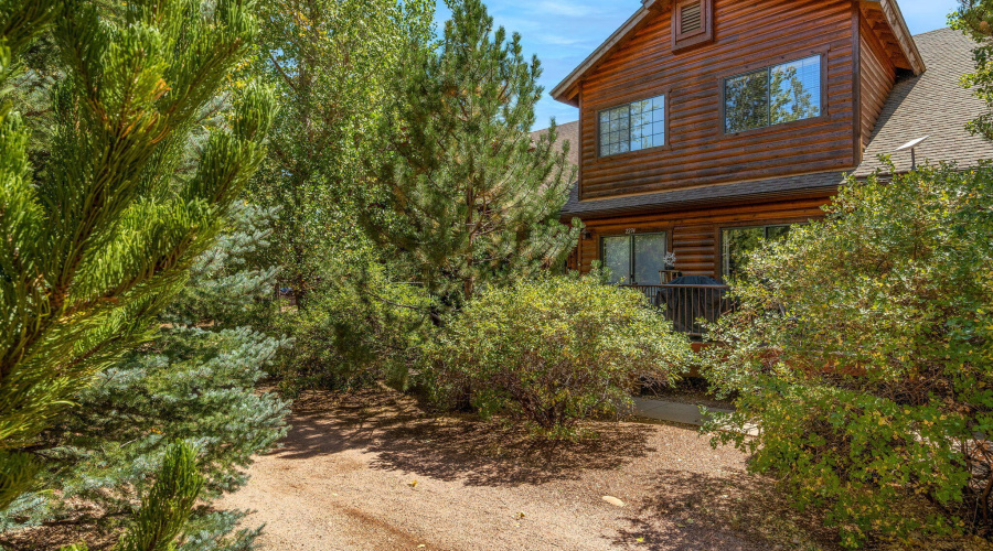 2274OvergaardSpringsLoop-Heber-AZ-29