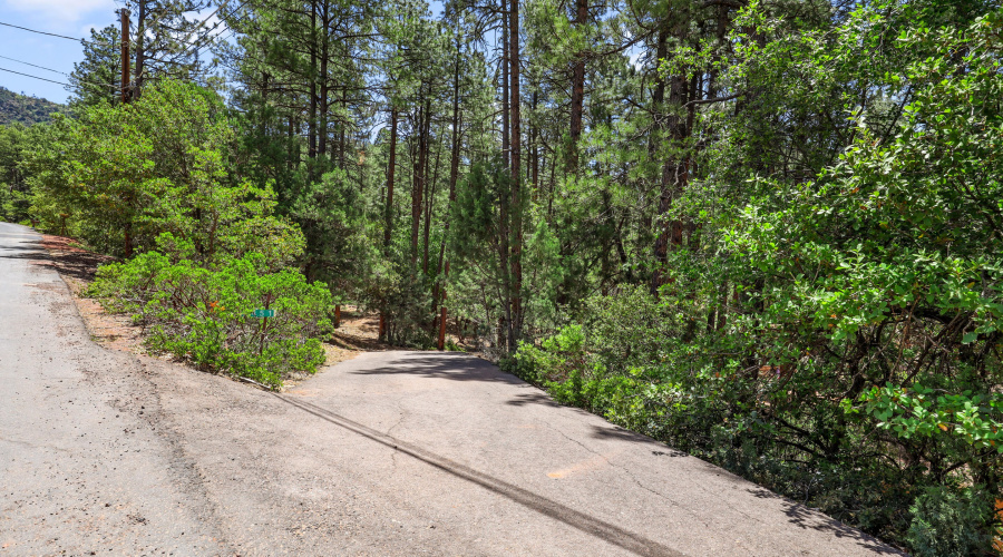 Entrance via Driveway