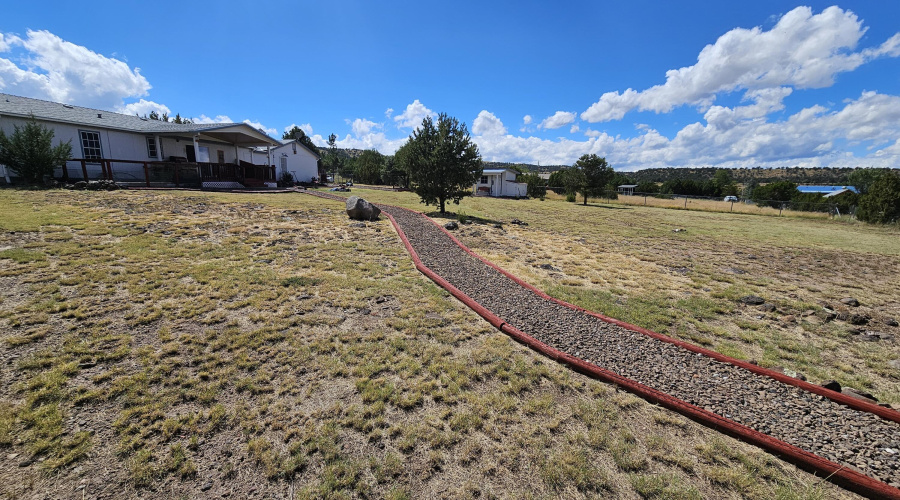 Large Backyard