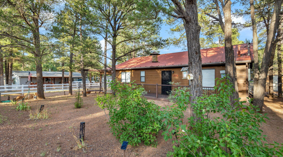 2933SWoodsDr-Heber-AZ-3