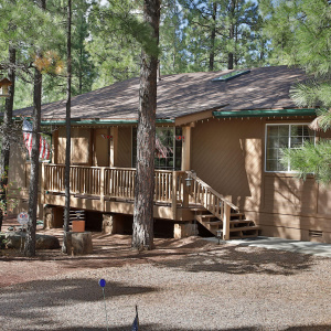 7136 Moon Creek Circle, Pinetop