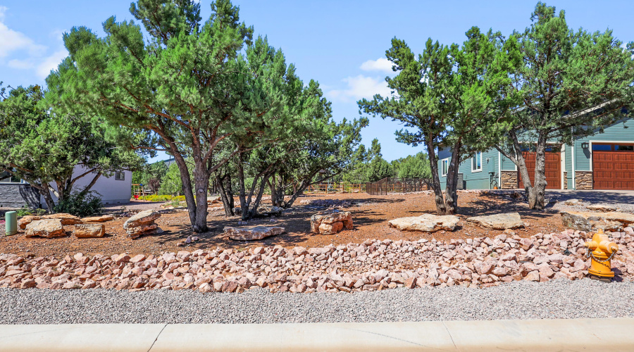 Side Yard w Trees