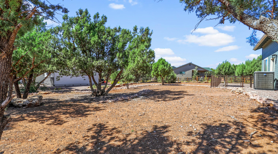 Yard - Side of House