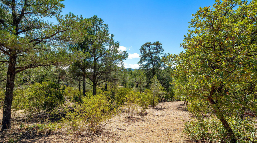 2701SHalfMoon-Payson-AZ-16