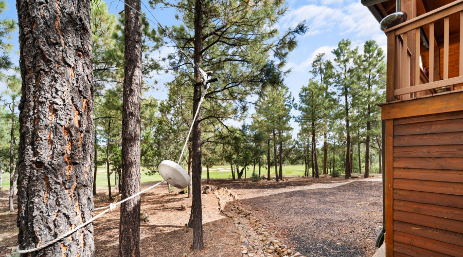 Side Yard/zip line