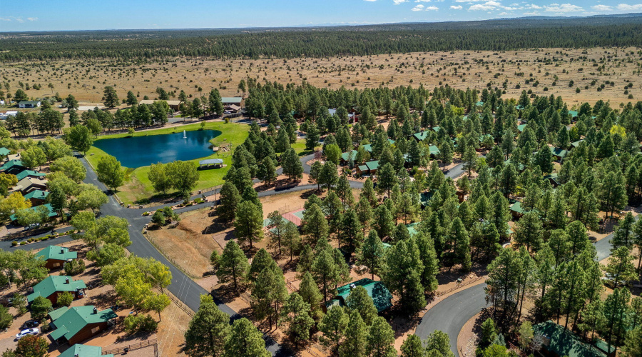 COMMUNITY AERIAL VIEW