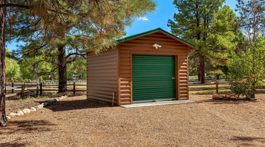 SHED IN THE BACK YARD