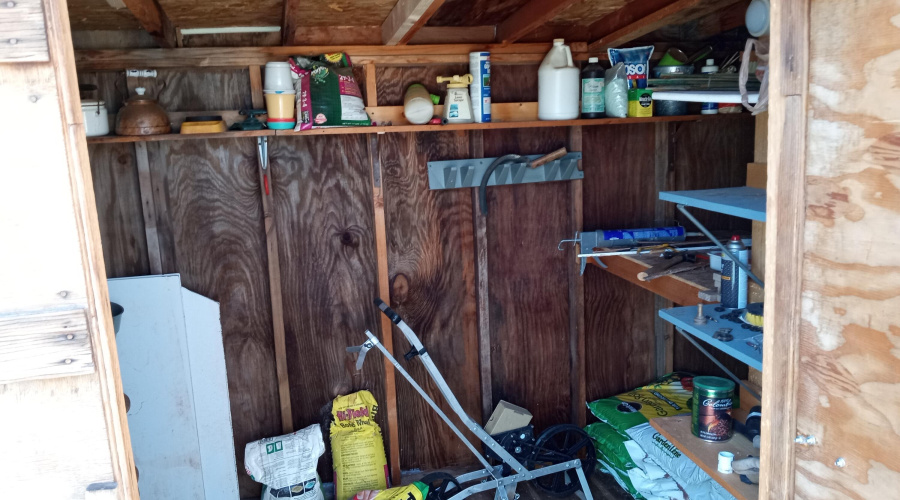 Shed Interior