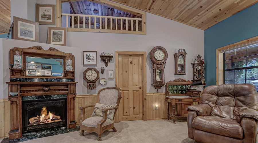 Fireplace in living room