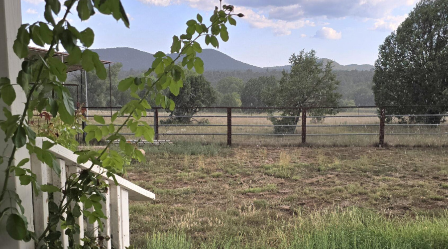 Back Porch View to S