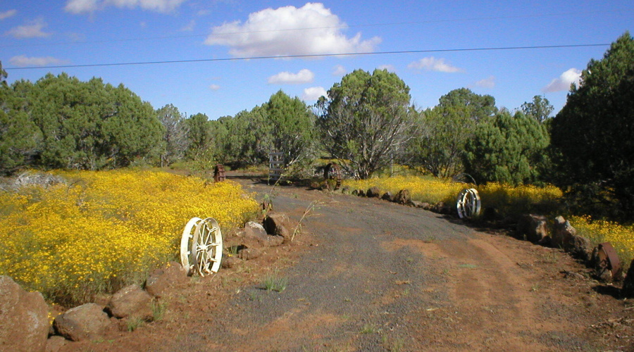 Driveway from property