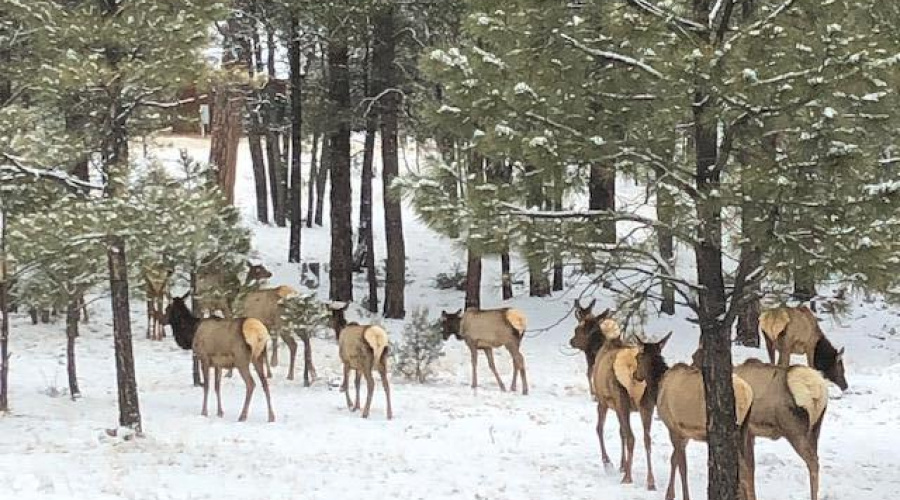 Strolling in the Neighborhood