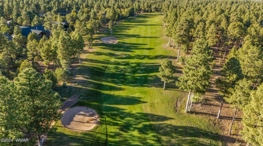 Backs the 17th Fairway