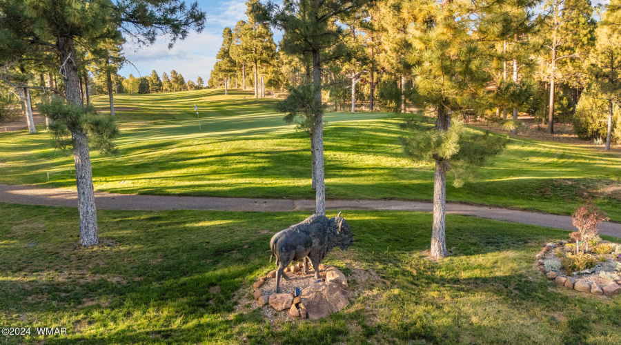 Backs the 17th Fairway