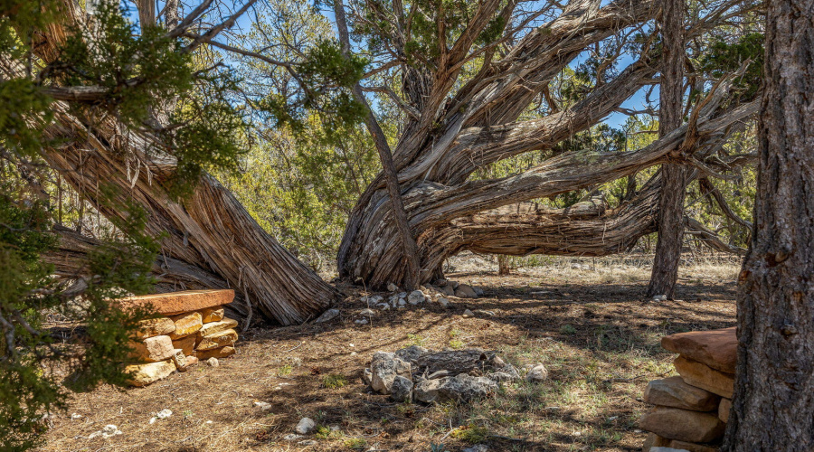 1936ElkTrailRd-HeberOvergaard-AZ-34