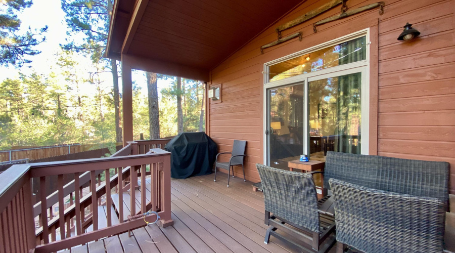 Large Back Deck