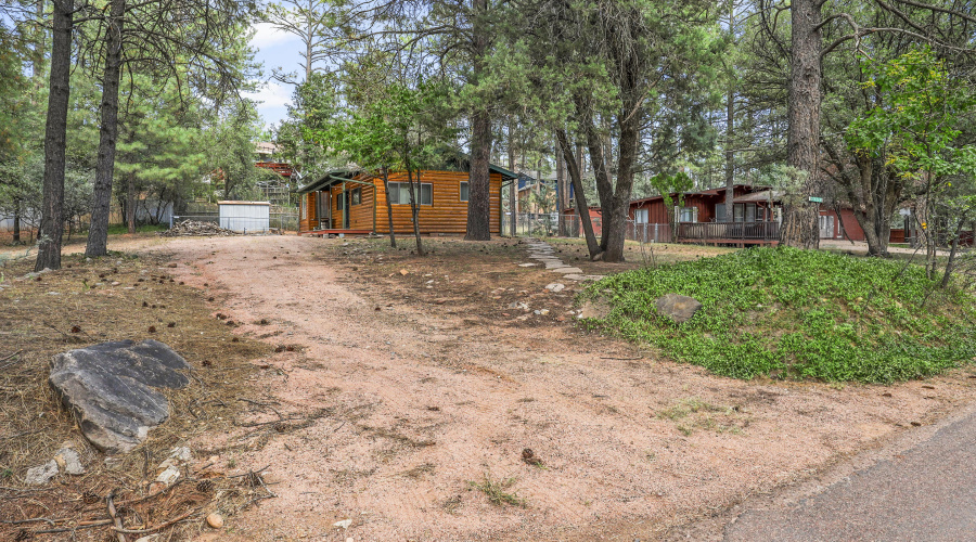 Cabin in the Pines