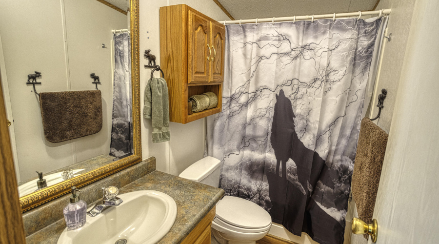 Paxman Guest Bathroom