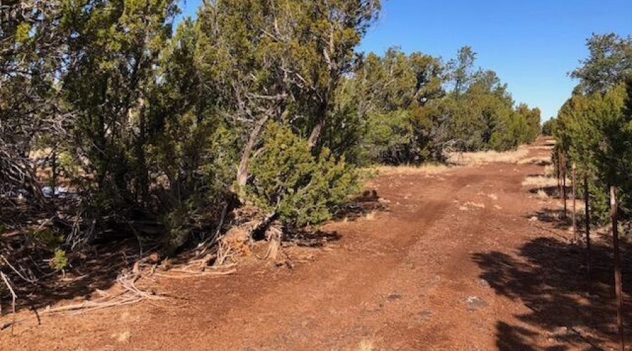 east road facing north CENTER 5 acres