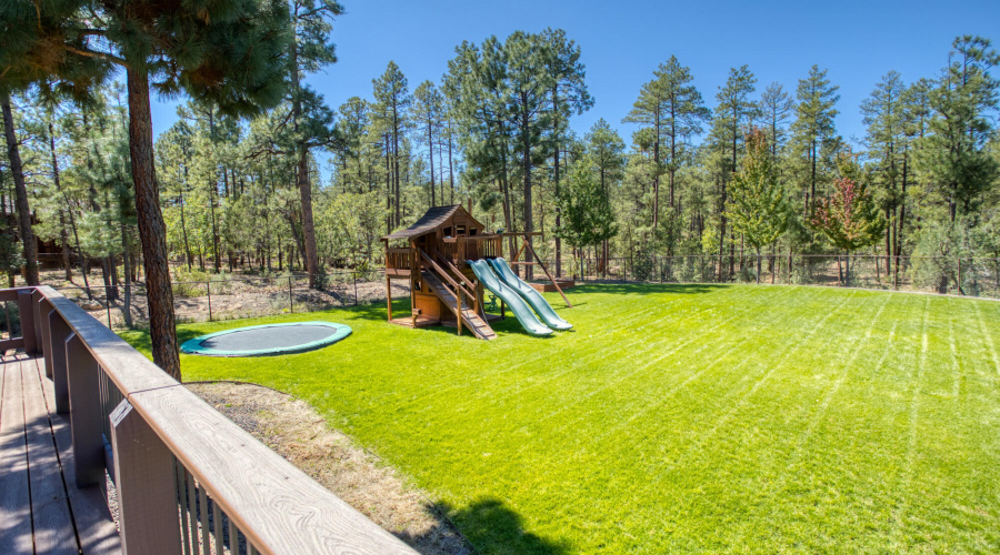 Fenced & Grass Backyard