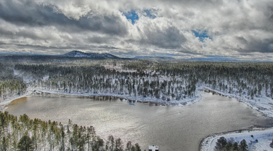 Woodland Lake in Winter